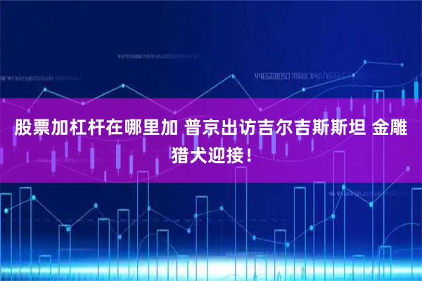 股票加杠杆在哪里加 普京出访吉尔吉斯斯坦 金雕猎犬迎接！