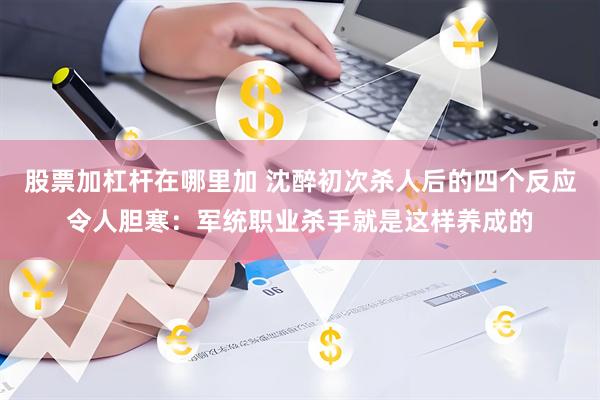 股票加杠杆在哪里加 沈醉初次杀人后的四个反应令人胆寒：军统职业杀手就是这样养成的