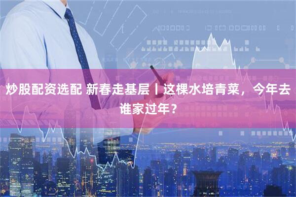 炒股配资选配 新春走基层丨这棵水培青菜，今年去谁家过年？