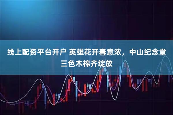 线上配资平台开户 英雄花开春意浓，中山纪念堂三色木棉齐绽放